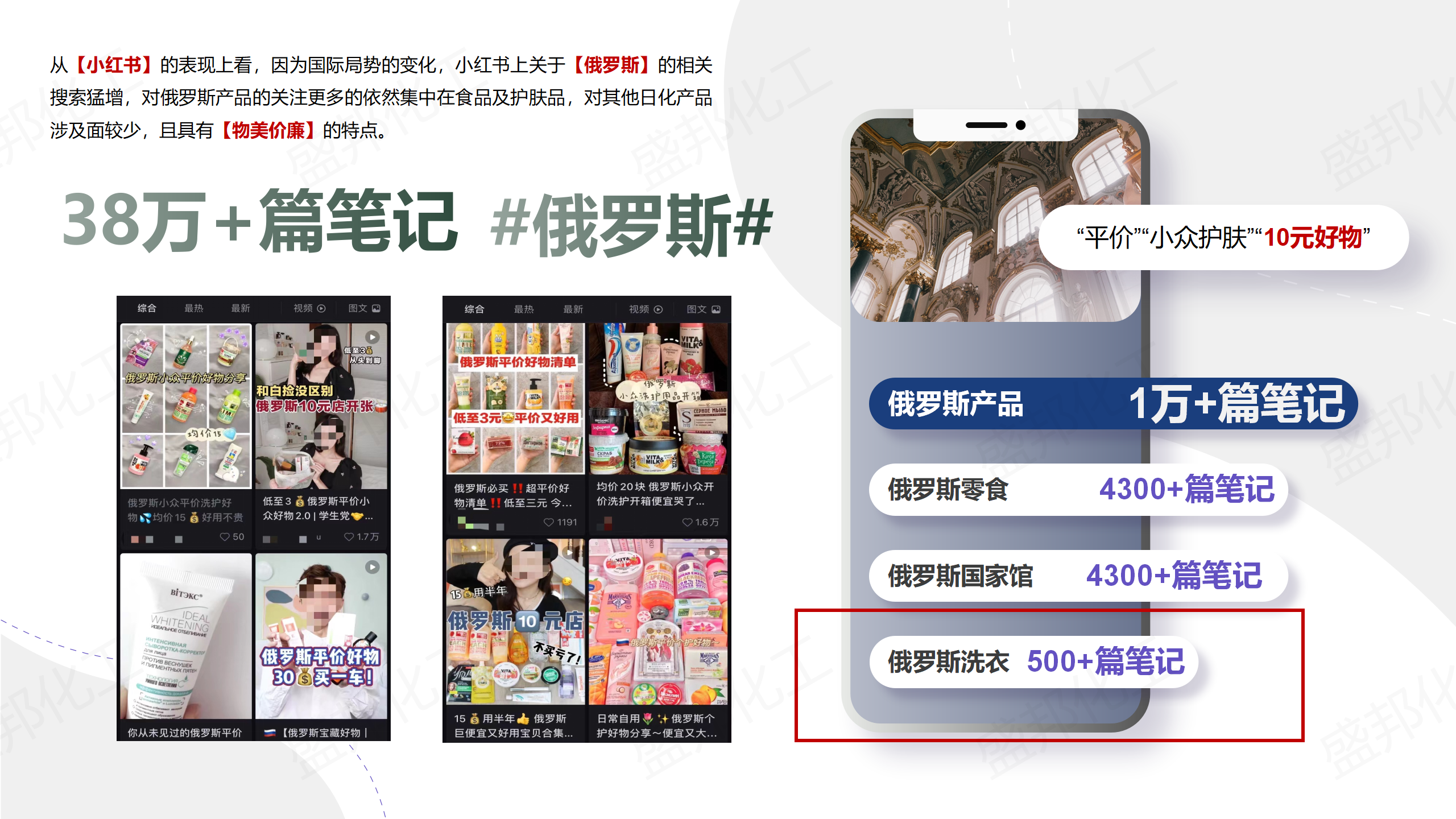 俄罗斯入口家清产品_03