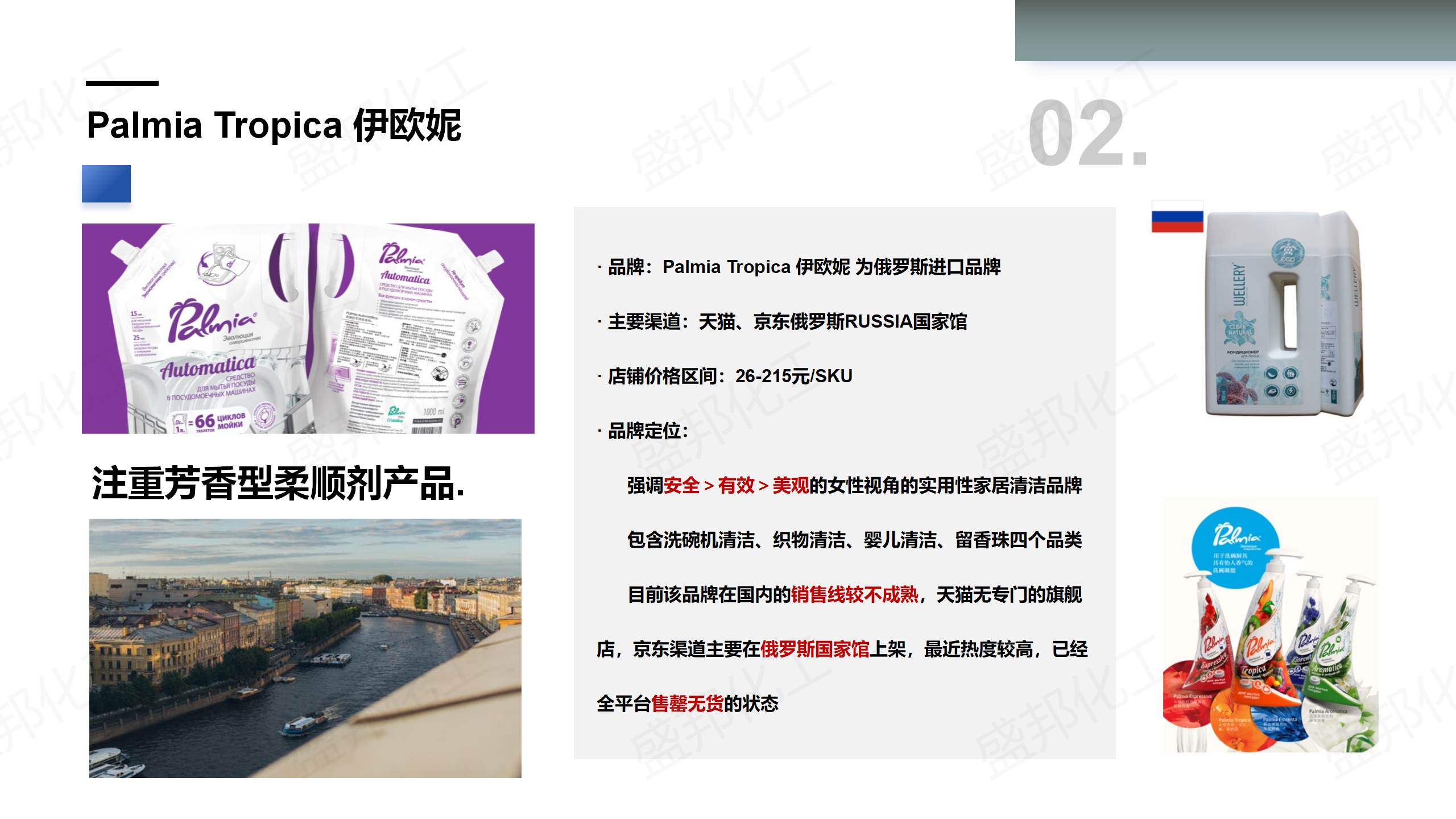 俄罗斯入口家清产品_07